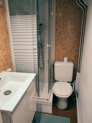une salle de bain avec une douche, des toilettes et un lavabo dans l'établissement Emplacement idéal les Halles, à Paris
