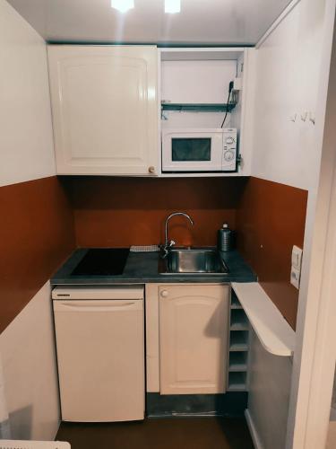 une petite cuisine avec un évier et un micro-ondes dans l'établissement Emplacement idéal les Halles, à Paris