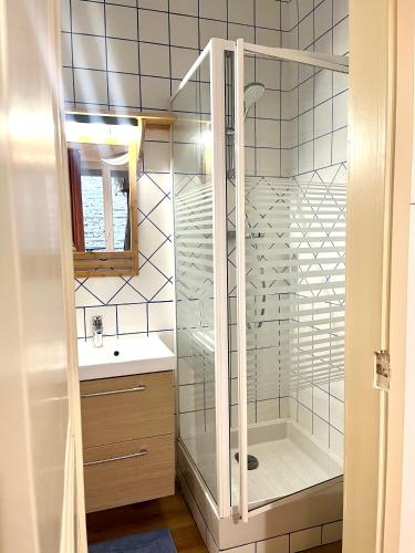 une salle de bain avec douche et lavabo dans l'établissement Magnifique & Cozy appartement au cœur de Strasbourg avec terrasse, à Strasbourg
