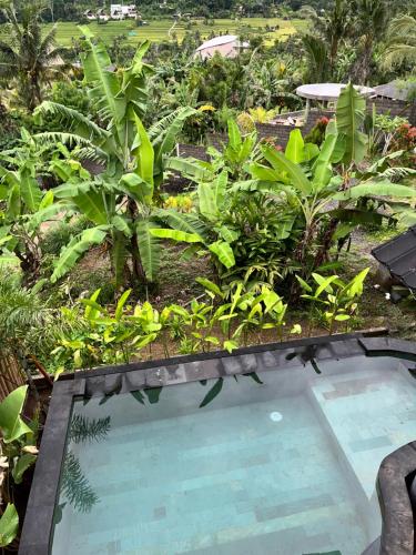 a garden with a swimming pool and plants at Lumbung Kembar Sidemen in Sidemen