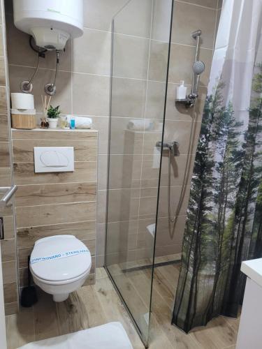 a bathroom with a toilet and a shower at Milmari N66 in Kopaonik