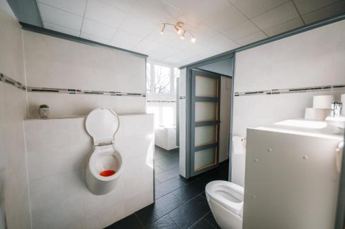 a bathroom with a toilet and a sink at Le LOFT de la Route des Vins in Guebwiller