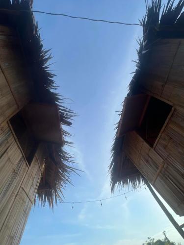 a view of the sky from between two palm trees at Tribu Kihud "Experience Simple Living" in Siquijor