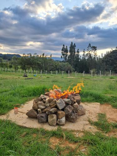 a pile of fire logs sitting in a field at Cabañas Santa Teresa de las Flores in Sogamoso