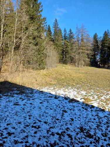 a snow covered field with trees in the background at Appartements Dorner, Semmering in Steinhaus am Semmering