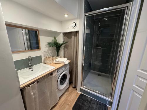 a bathroom with a sink and a washing machine at La Réserve du Château in Maintenon