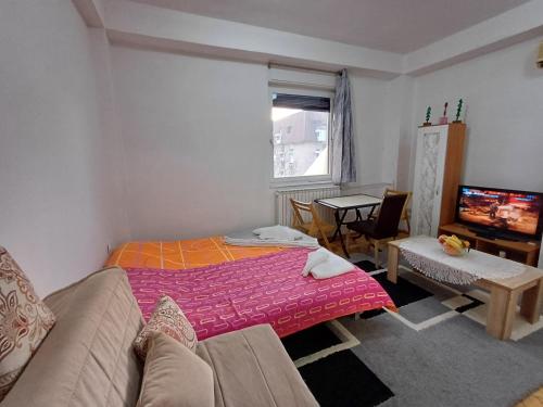 una sala de estar con un sofá y un televisor en Studio Azman, en Skopje