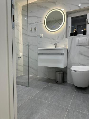 a bathroom with a toilet and a sink and a mirror at Cibalae Residence, Self Check-In in Vinkovci