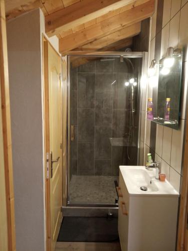 une salle de bain avec douche et lavabo dans l'établissement Appartement luxueux, à Séez