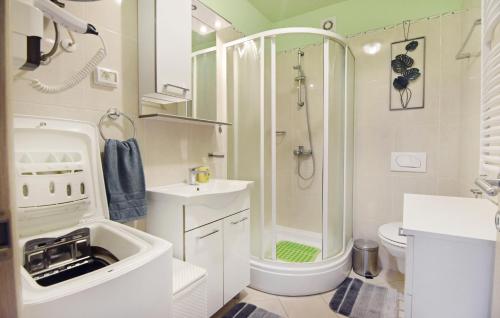 Apartments with WiFi Umag - 23617