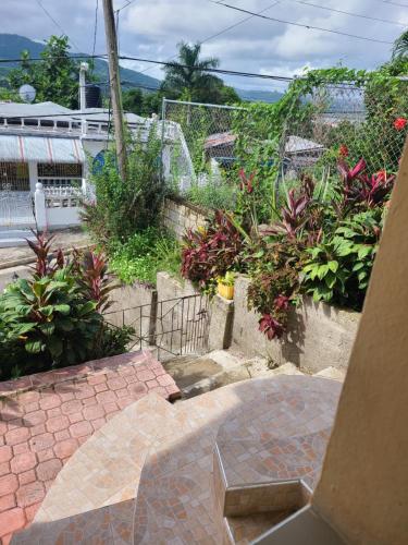 a garden with a brick walkway and some plants at DMpire Suite in St Mary