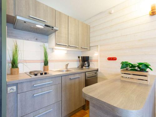 une cuisine avec des armoires en bois et un comptoir avec des plantes en pot dans l'établissement Appartement calme proche centre Saint-Lary avec parking et navette gratuite - FR-1-296-509, à Saint-Lary-Soulan