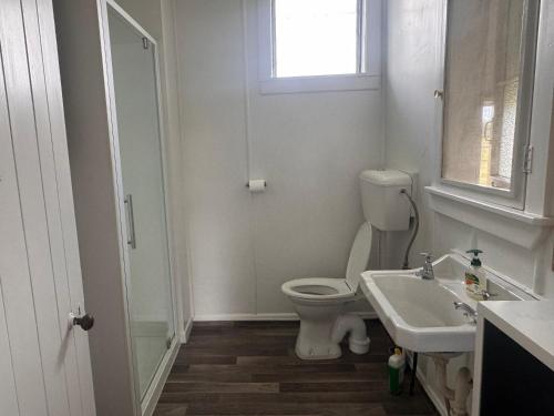 a bathroom with a toilet and a sink and a window at The Cottage @ Aranui in Wairoa