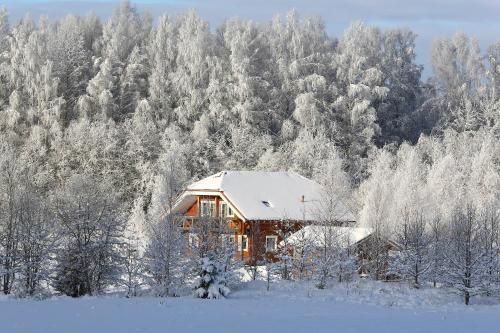 a house covered in snow in front of a forest at Viesu mājas Briedīši in Raiskums