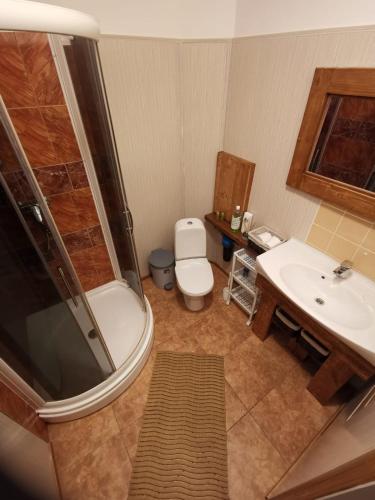 a bathroom with a toilet and a sink and a shower at Guest House ALEJA in Myza Bene