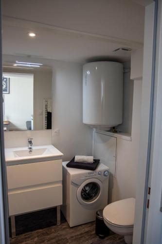 une salle de bain avec une machine à laver et un lavabo dans l'établissement L'Amsterdam - Duplex trés calme au dernier étage, à Niort