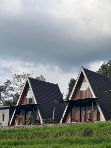 a house with a black roof and a field at VIP Homestay Lemukih in Singaraja