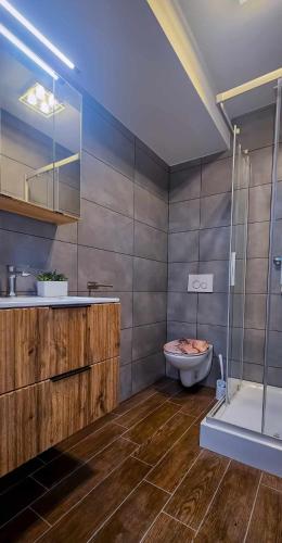 a bathroom with a shower and a toilet and a sink at Sachsenheim Rooms & Apartments in Sachsenheim