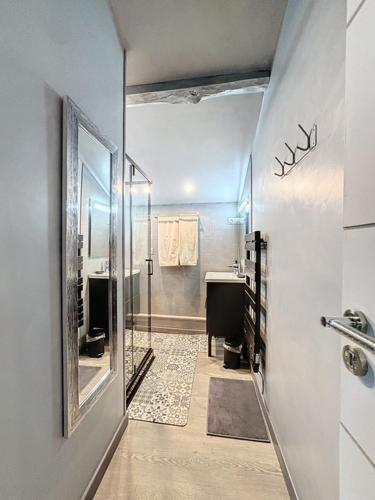 une salle de bain avec une douche, un lavabo et un miroir dans l'établissement Le petit Château de Sathonat - Horizon Paradis, à Saint-Amour-Bellevue