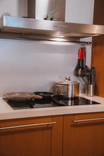 a kitchen with a stove with two pots and pans at 2K Eco Villa in Plagiárion