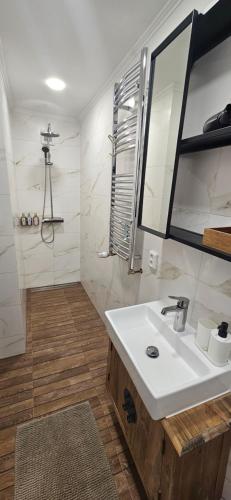 Koupelna v ubytování Apartmán 4YOU Jáchymov