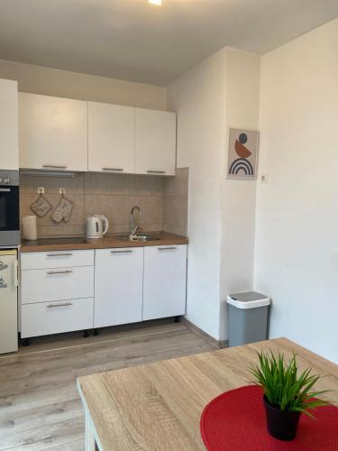 Cuina o zona de cuina de Apartman Vills