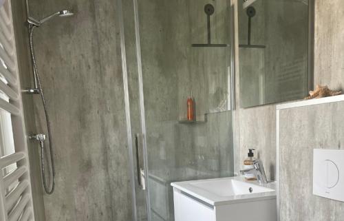 a bathroom with a shower and a toilet and a sink at Huisje in Dishoek in Koudekerke