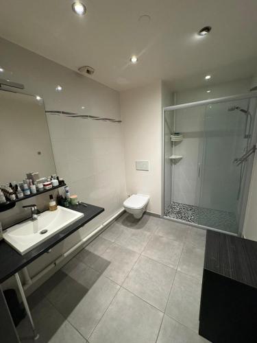une salle de bain avec une douche, un lavabo et des toilettes dans l'établissement Studio Chablais Park, à Annemasse