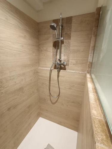 une douche avec pommeau de douche dans une salle de bain dans l'établissement Superbe appartement neuf au cœur de la Provence., à Entraigues-sur-la-Sorgue