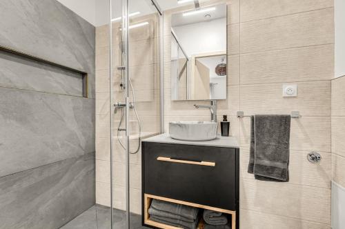 une salle de bain avec un lavabo et une douche dans l'établissement Cosy appartement sur Toulouse, à Toulouse