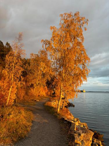 a path next to a body of water with trees at Marmorcafets B&B in Kolmården