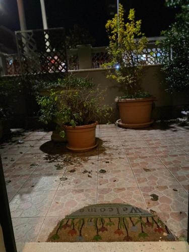 a patio at night with potted plants on it at GiGiRo-om in Fiumicino