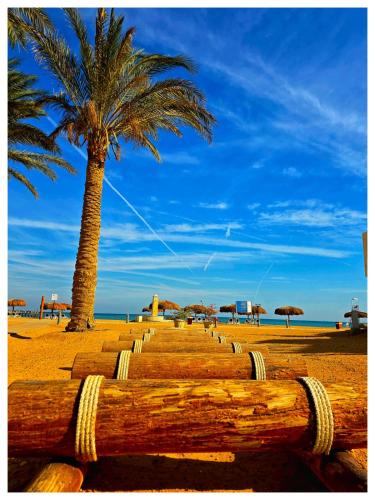 a wooden path on the beach with palm trees at Luxury Chalet in Mountain View 2 , El-Sokhna with Sea View , Pool View and Garden View Families Only in Ain Sokhna