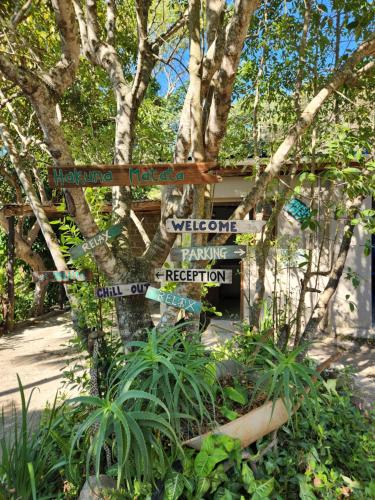 a sign with many different signs on a tree at Ikaya Accommodation PSJ in Port St Johns