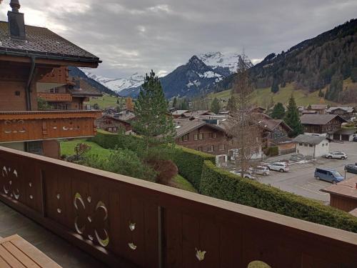 Minutes Walk from Gstaad Center - Great Apartment