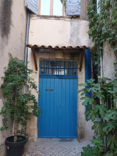 a blue door in a building with plants at AUBERGE-HOSTELS à TARASCON in Tarascon