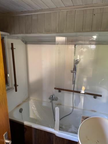 a bathroom with a tub with a shower and a sink at Enzian 4 Zi Ferienwohnung in Landhaus in Frutigen