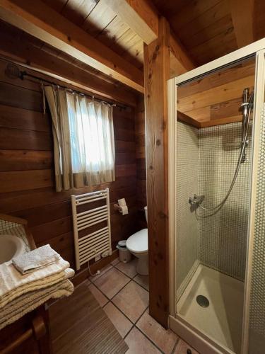 a bathroom with a toilet and a glass shower at L'Ecureuil in Chorges