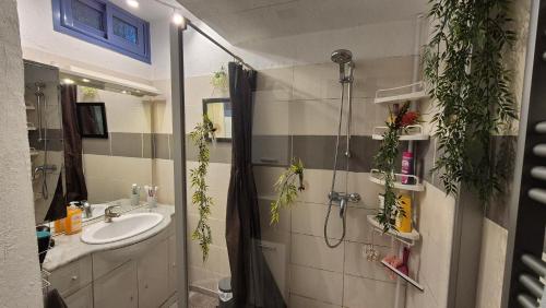 La salle de bains est pourvue d'un lavabo et d'une douche avec des plantes. dans l'établissement Maison de village en Provence verte, à Sainte-Anastasie-sur-Issole
