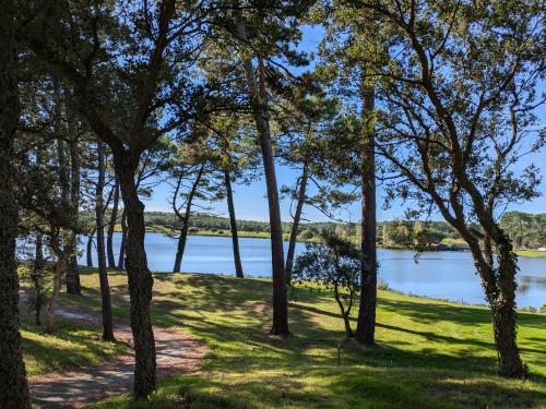 a view of a lake through a group of trees at Résidence Mes Amours d'Enfants - Les Villas du Lac in Soustons