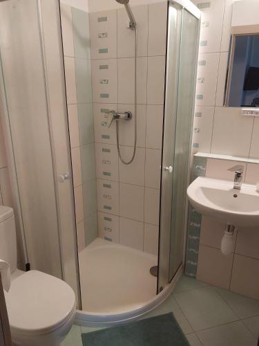 Koupelna v ubytování Apartmány Freesia