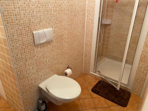 a bathroom with a toilet and a shower at Kotrba privat in Telč
