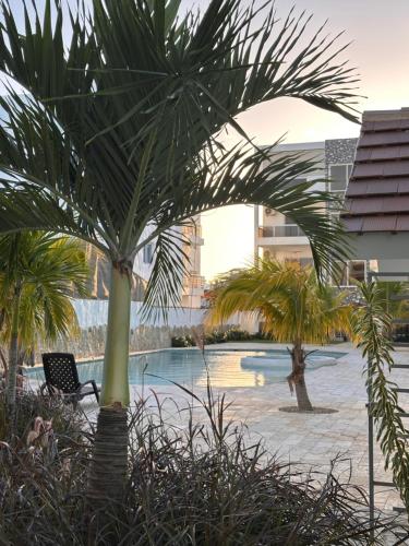 a palm tree in front of a swimming pool at D&L Apartment in Bayahibe