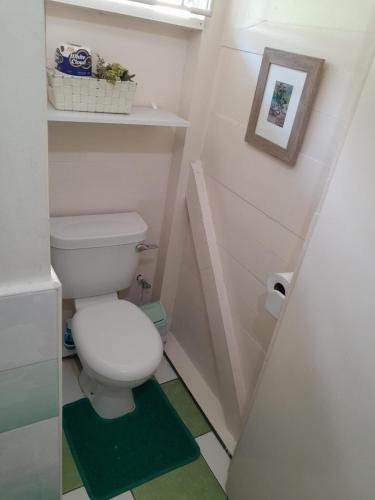 a small bathroom with a toilet and a green rug at Cholson Chalets in Charlotteville