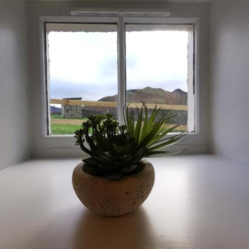 a plant in a vase sitting in front of a window at The Swinside Inn in Keswick
