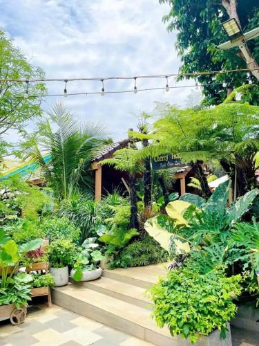 un jardín con muchas plantas y árboles en Cherry homestay bmt, en Buôn Ðũng