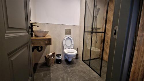 a bathroom with a toilet and a sink and a shower at Rădăcini in Câmpulung Moldovenesc