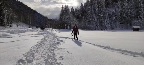 Casarenza a Camporosso v zimě