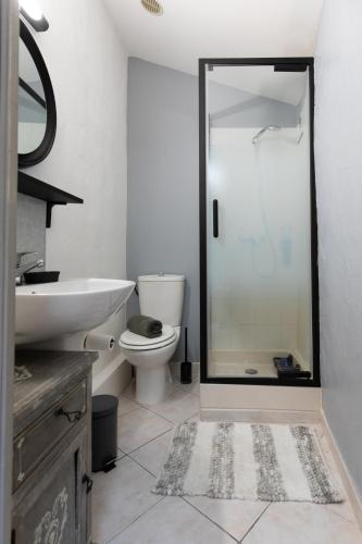 a bathroom with a toilet and a glass shower at Le Segarius superbe maison médiévale Internet WiFi gratuit Climatisation Jardin in Puisserguier