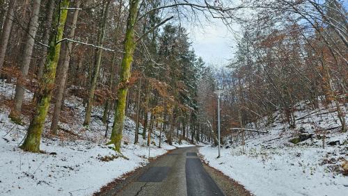 a snow covered road in a forest with trees at "Casa Antonio" 3 Gehminuten Strandbad Sekirn, inkl Seezugang in Sekirn